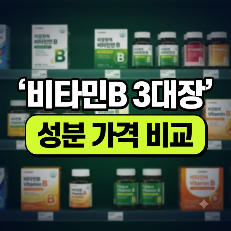 고함량 비타민B: 비맥스 제트(활성형) vs 벤포벨 S(UDCA 간케어) vs 임팩타민 복용 가이드