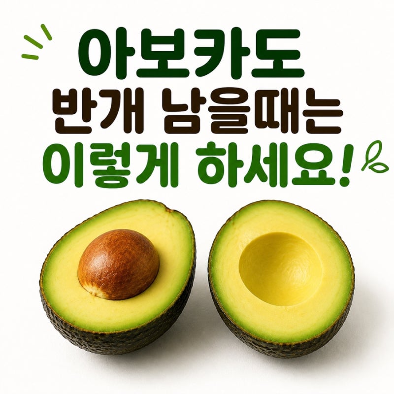 아보카도 효능 칼로리 반개 남았을 때 보관은?