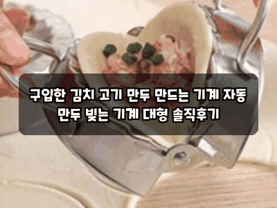 구입한 김치 고기 만두 만드는 기계 자동 만두 빚는 기계 대형 솔직후기