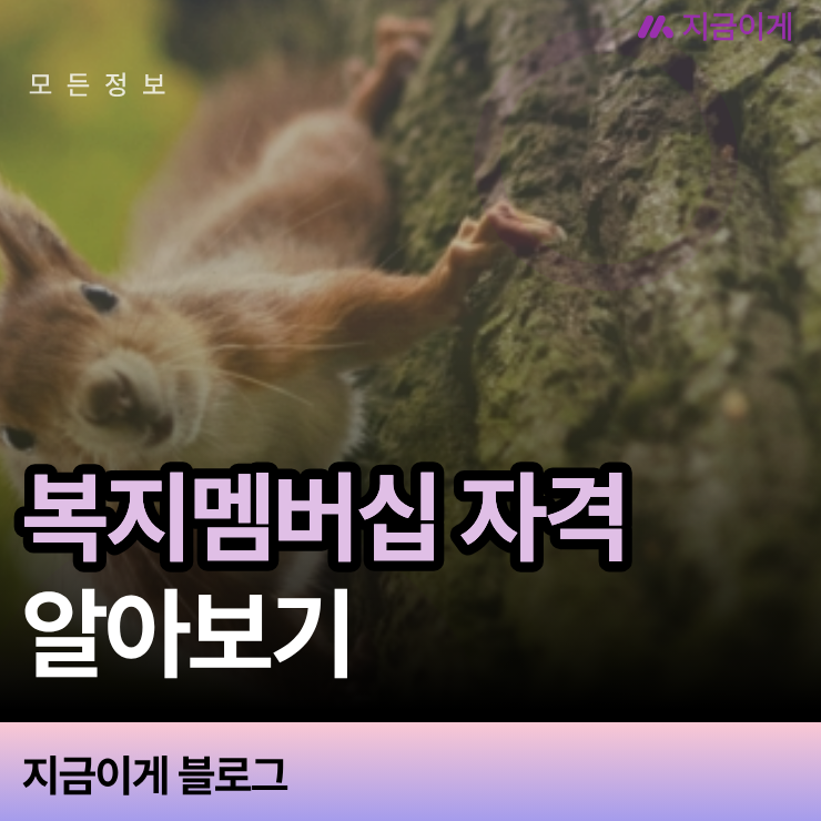 복지멤버십 자격 조건 및 가구 맞춤형 혜택 안내 서비스 활용법