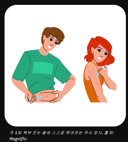 "마운자로 당뇨 치료 효과" 완벽 정리! (원리·당화혈색소 변화·주사 방법 총정리)