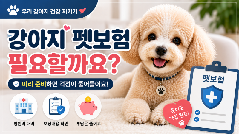 강아지 펫보험 필요할까요? 병원비를 생각하면 미리 준비할 이유가 있어요