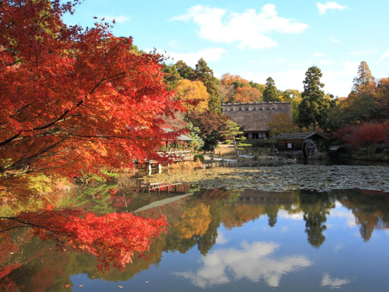 日本愛知縣名古屋旅遊：必訪景點與美食Top 5