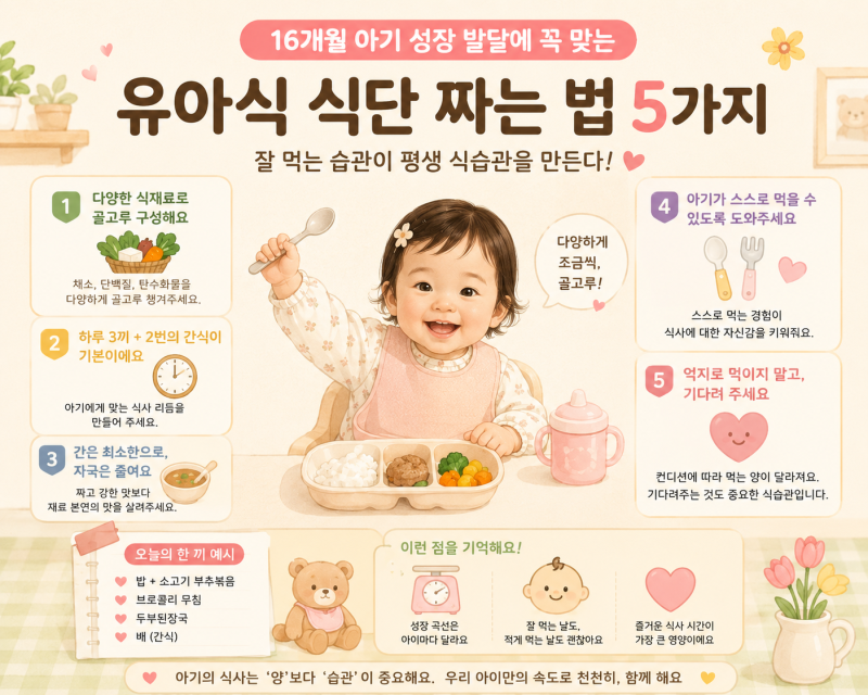 16개월 아기 유아식 식단 짜는 법｜매일 반찬 고민될 때 이렇게 해보세요