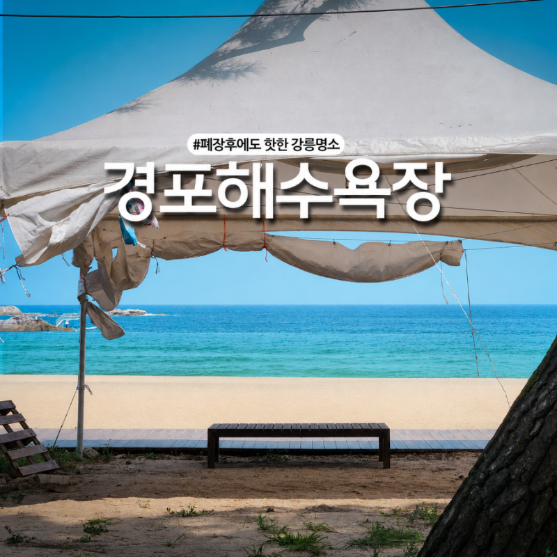 강릉 경포해변 폐장후에도 멋진 해수욕장! 밤바다 야경 여행지