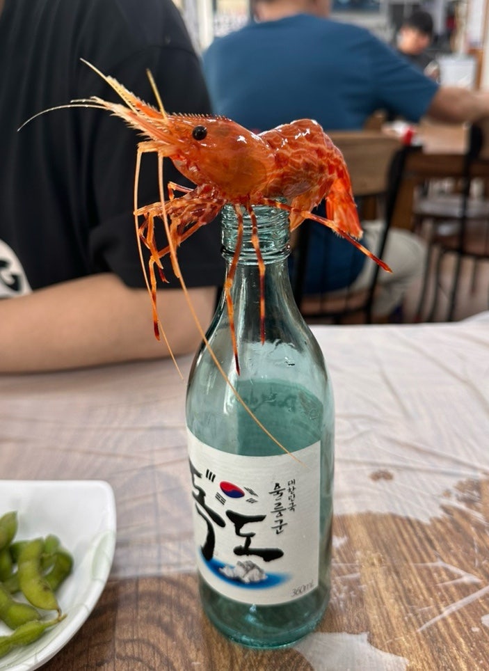 울릉도에서 독도새우 먹은 곳 | 울릉도 애견동반식당 향토회식당