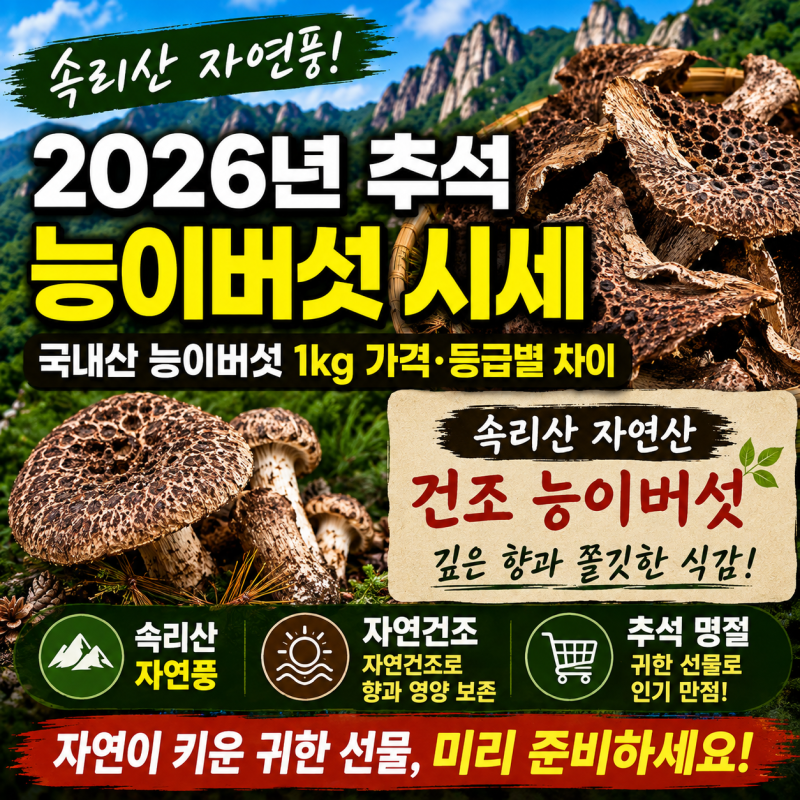 2026년 추석 능이버섯 시세 총정리, 자연산 송이 1kg 가격·등급별 차이