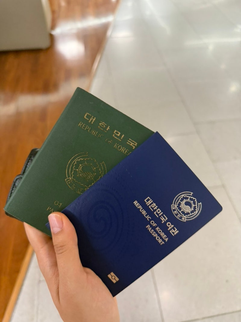 송파구청 여권 수령 후기｜온라인 재발급·수령시간·야간운영·주차