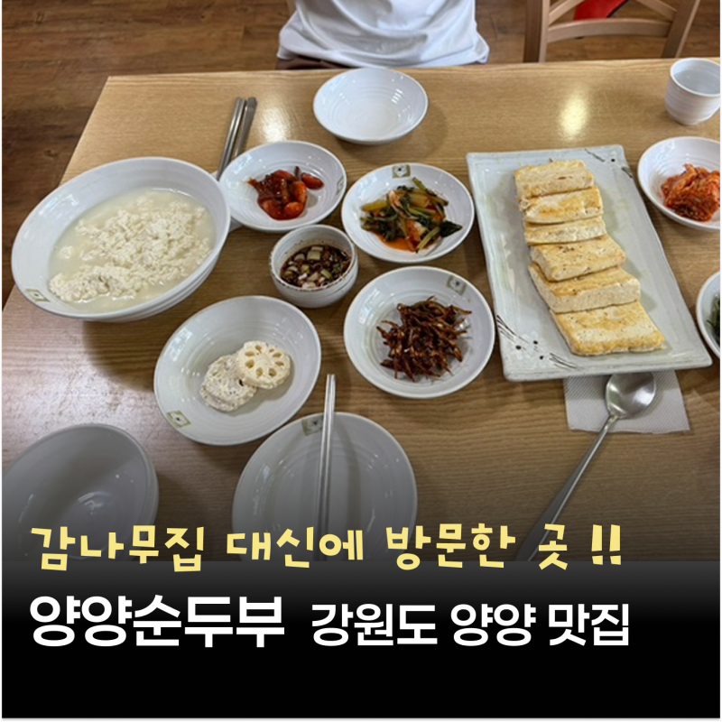 감나무집 웨이팅 실패하고 대신 방문! 양양 시내 맛집 양양순두부