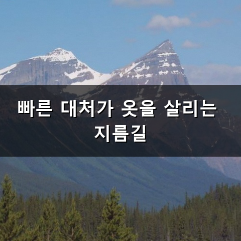 이염된 옷 복구하는 방법과 깔끔하게 되살리는 요령