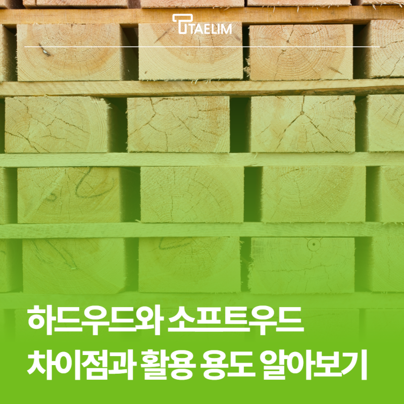 하드우드와 소프트우드 차이점과 활용 용도 쉽게 알아보기