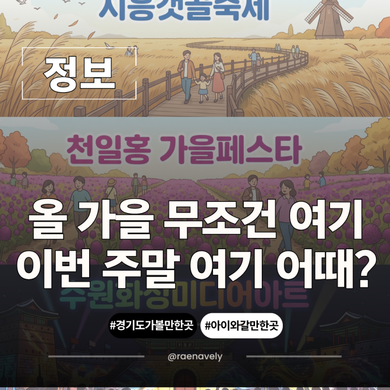 9월 10월 경기도 아이와 가볼만한곳 BEST 5 (화성·수원·시흥·양주 가을 축제)