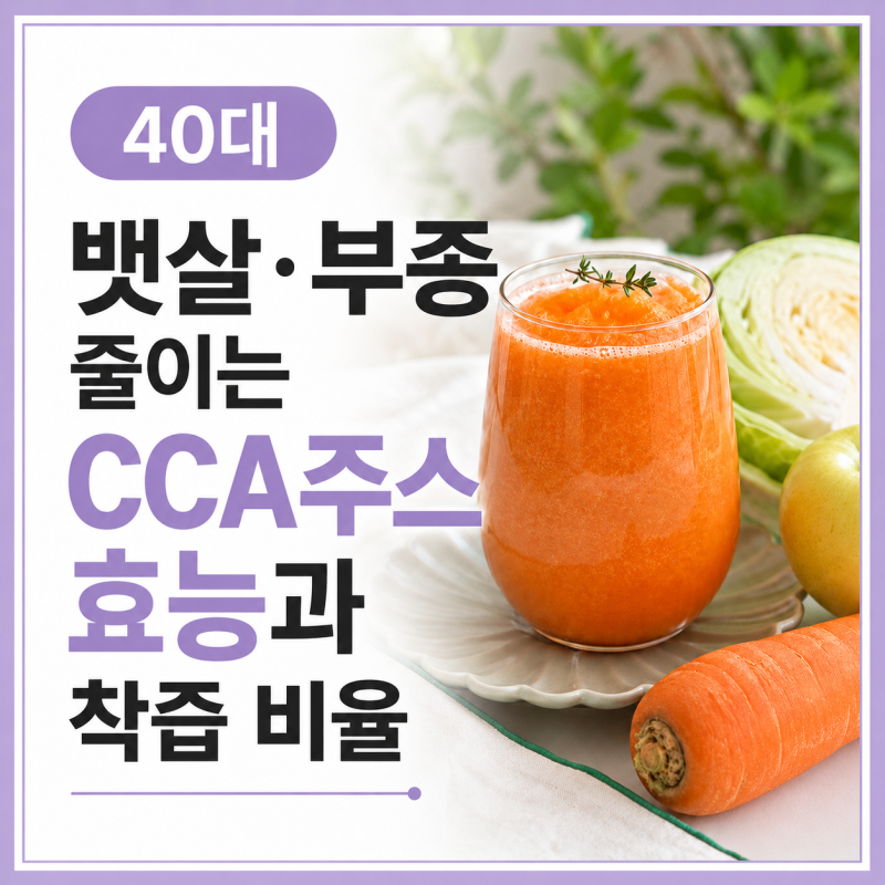 40대 뱃살·붓기 빼는 CCA주스 효능과 착즙 비율