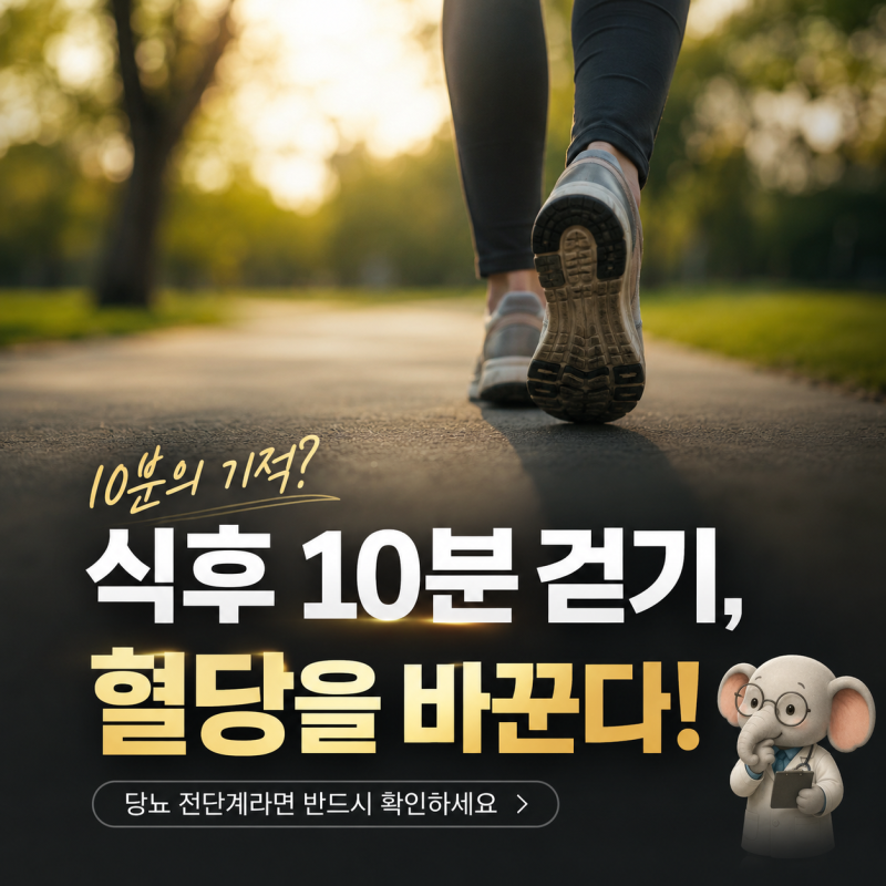 당뇨 전단계 식후 걷기 시간, 10분이면 될까? 언제 시작해야 할까