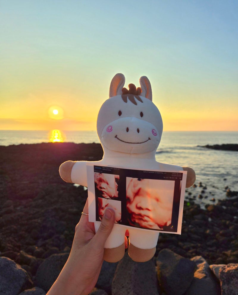 제주 태교여행 3박4일 총정리｜준비물 리스트, 제주항공·신화월드 임산부 혜택, 일정표 공유....