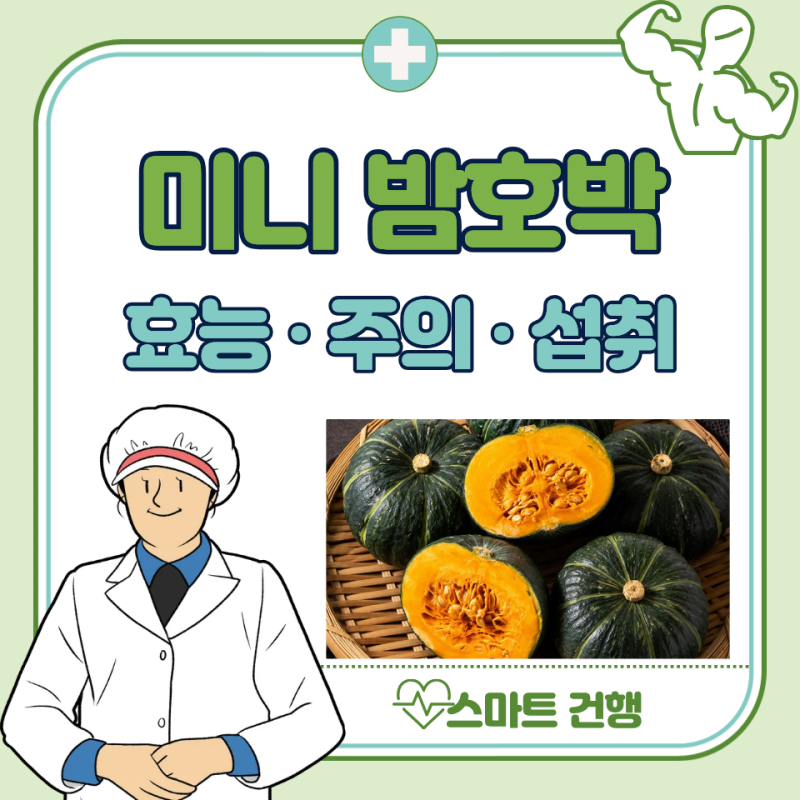미니 밤호박 효능 5가지, 보관법, 부작용