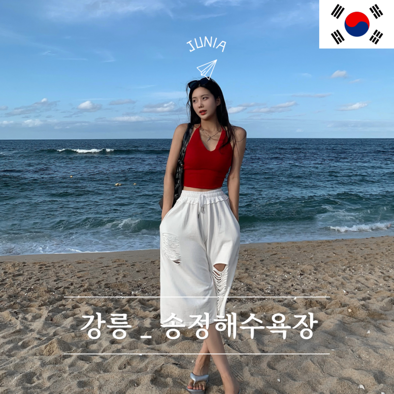 강릉 송정해수욕장 소나무 솔숲이 있는 송정해변 가볼만한곳 추천