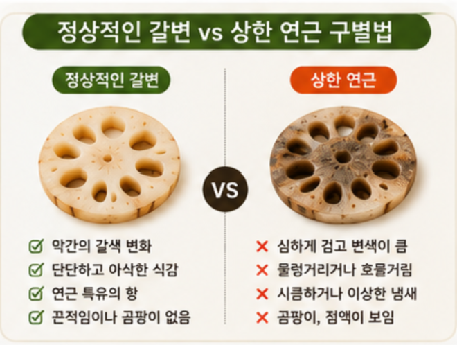연근 검게 변했는데 먹어도 될까? 갈변 막는 법과 상한 연근 구별, 오래 보관하는 법