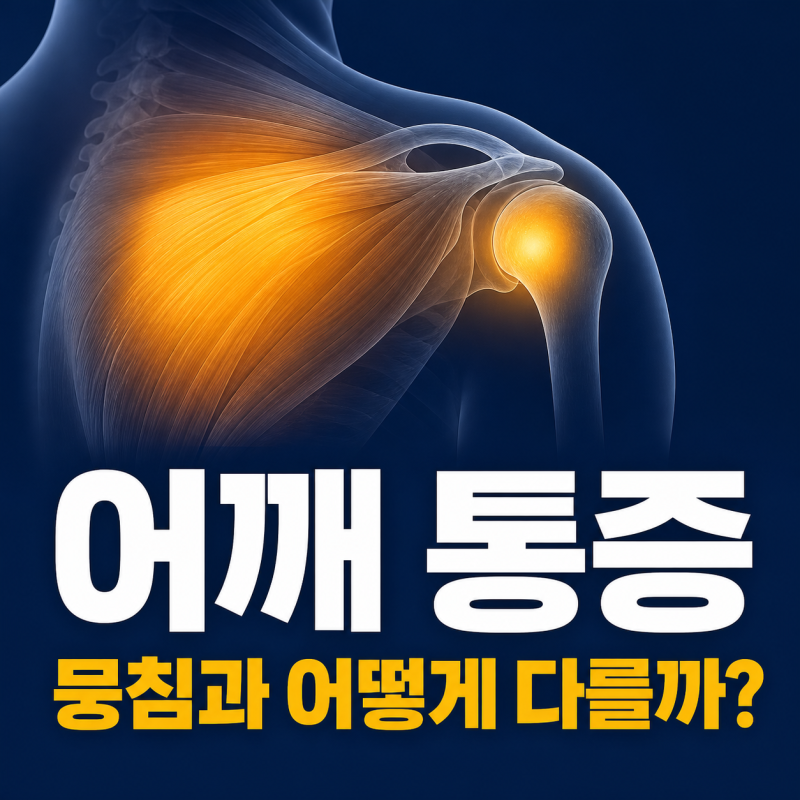 어깨 아플 때 먼저 확인할 왼쪽 통증 원인, 어깨 뭉침 차이 구별법