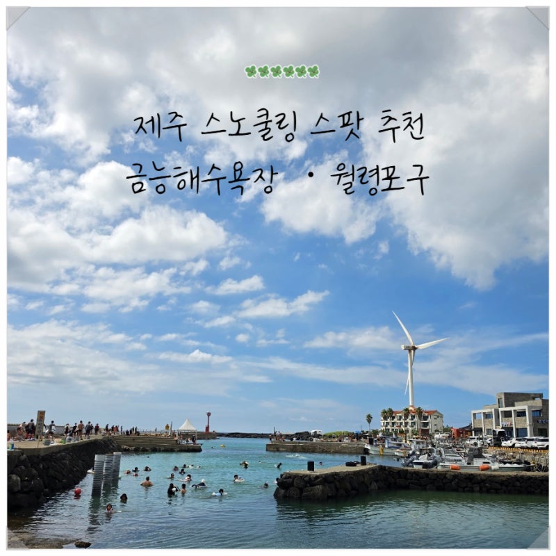 제주 금능해수욕장 스노쿨링 초보 후기 월령포구까지