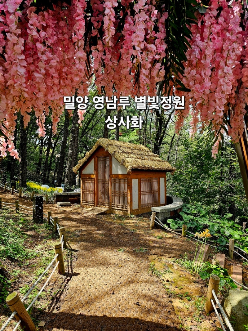 밀양 여행 가볼만한곳 밀양읍성 영남루 별빛정원 상사화 가는길