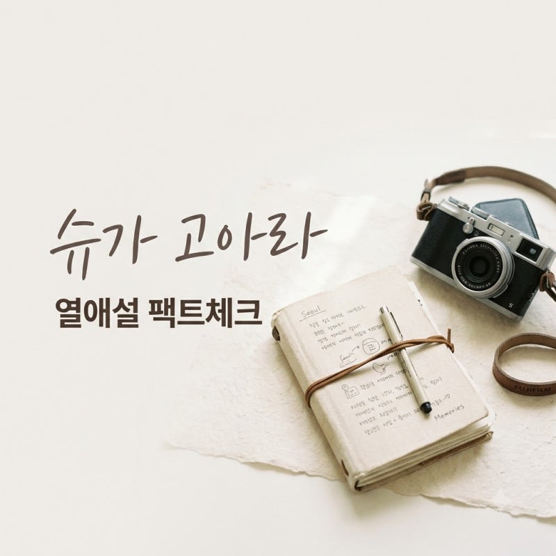 슈가 고아라 열애설 진실은? 사진 근거부터 반박 내용까지 팩트체크