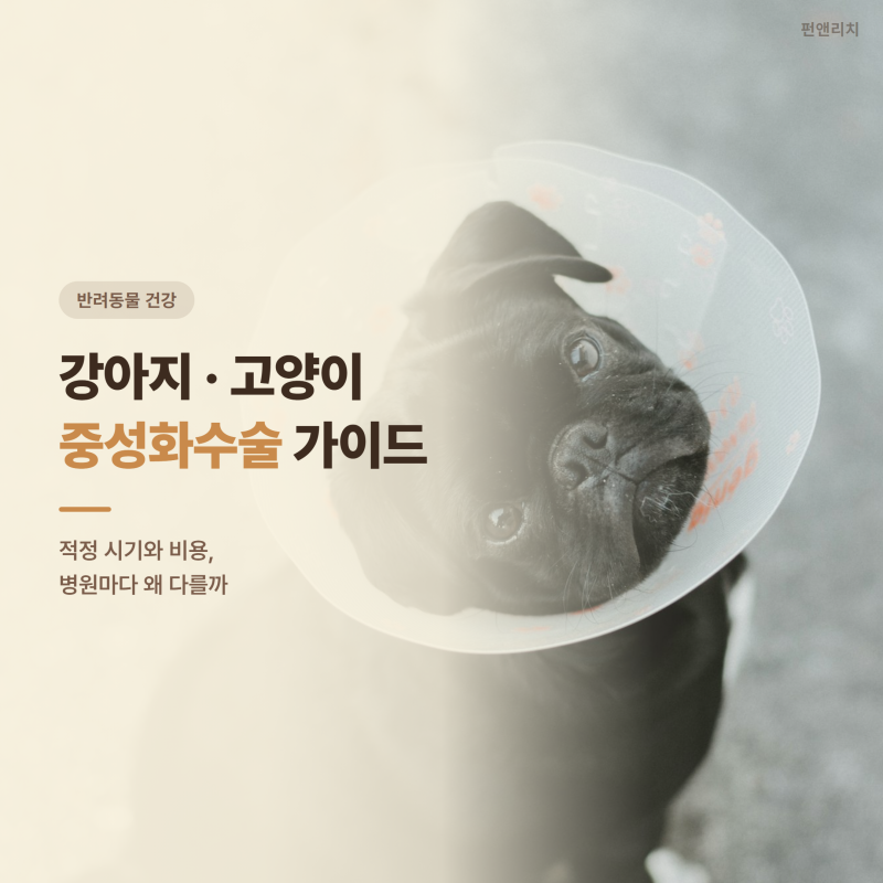 강아지 고양이 중성화수술 시기와 비용, 병원마다 왜 다를까
