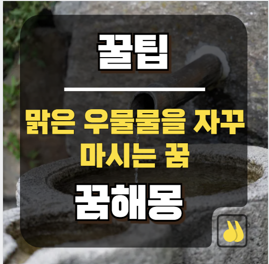 맑은 우물물을 자꾸 마시는 꿈해몽 돈복 터지는 대박 징조