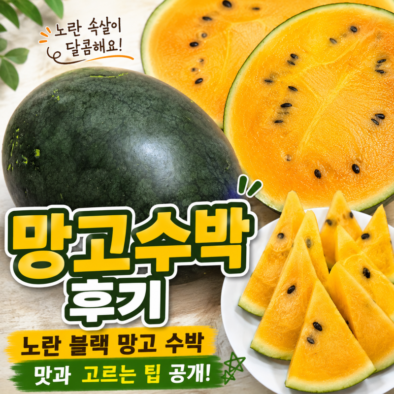 망고수박 후기 / 노란 블랙 망고 수박 맛과 고르는 법