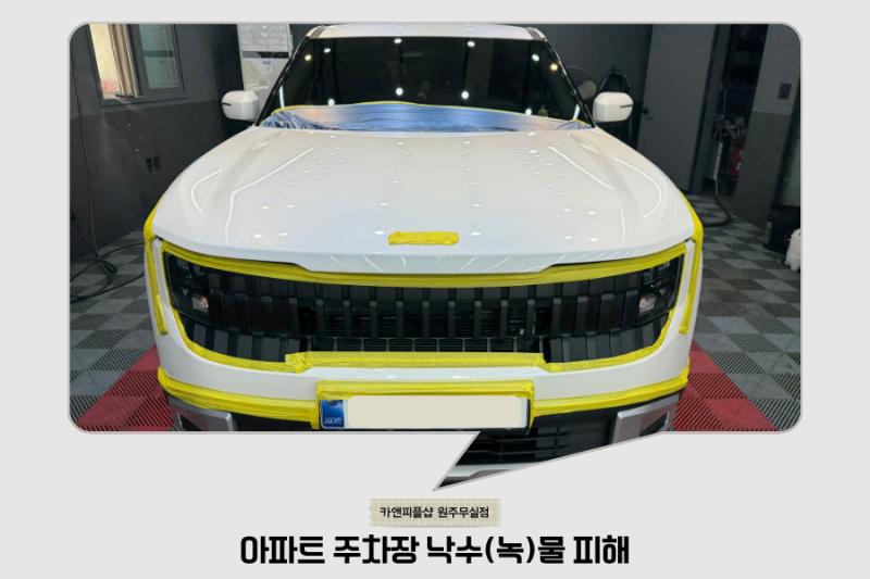 아파트 주차장 낙수물 녹물 피해 카앤피플샵 보험 처리와 광택 복구 후기