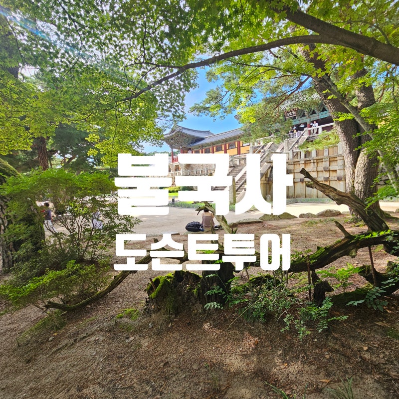 [경주 가볼만한곳] 초등 아이와 함께한 불국사 도슨트 투어 (유인아카이브 윤미향 해설사님 ....
