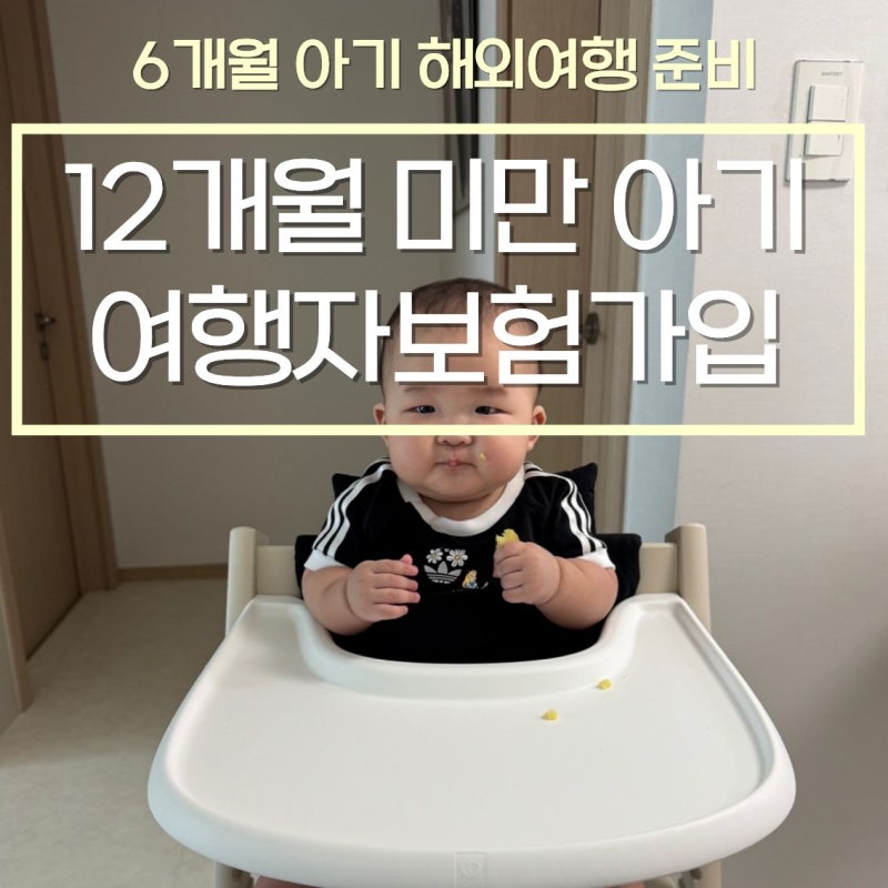 6개월 아기 일본 해외여행 준비! 아기 단기여행자보험 내돈내산 가입 후기