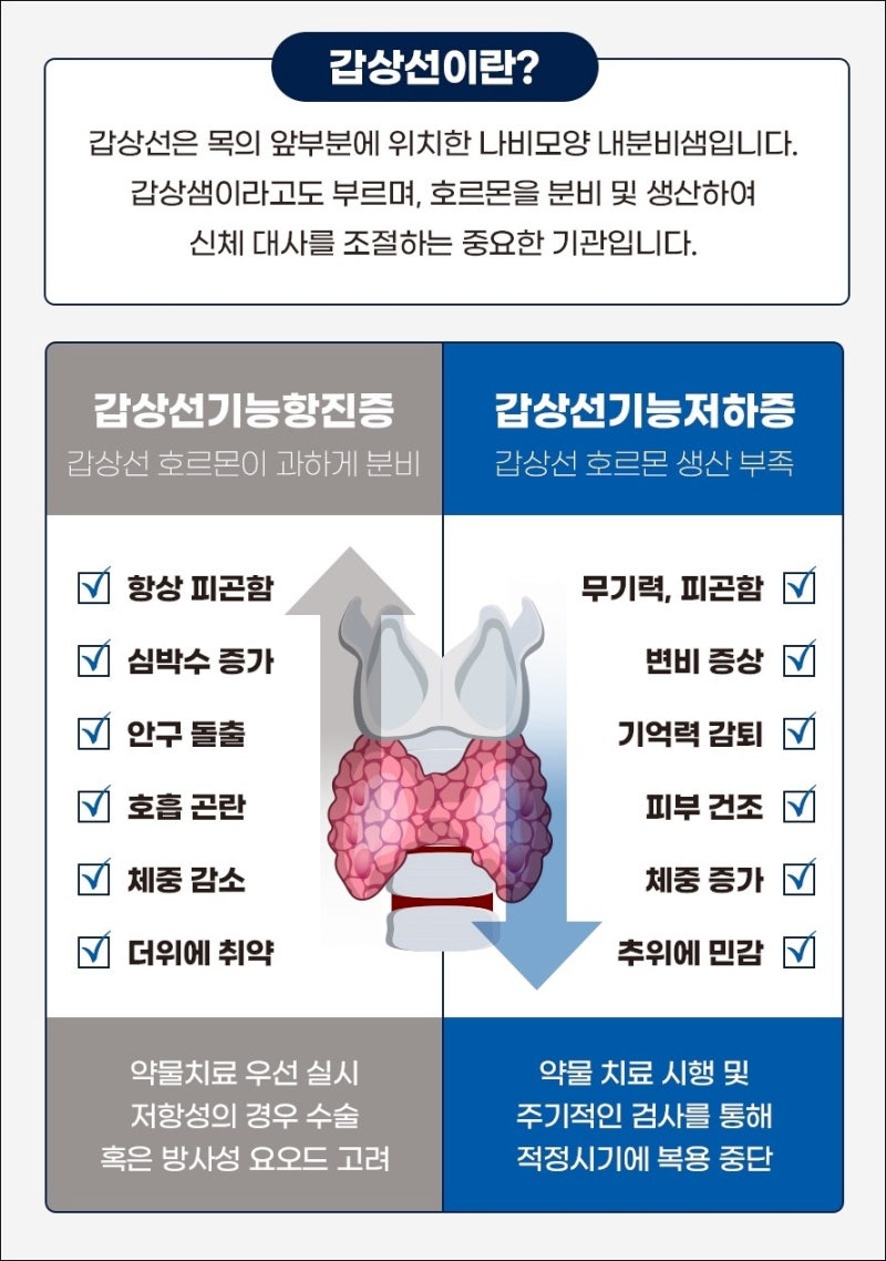 갑상선기능저하증 원인이 될 수 있는 요인 4가지, 자가면역질환부터 수술 이력까지
