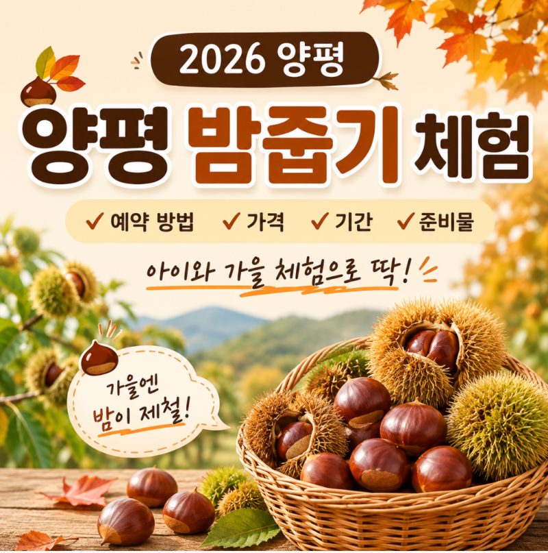 2026 양평 밤줍기 체험 예약｜아이와 가볼만한 양평 밤농원 가격·기간·예약방법