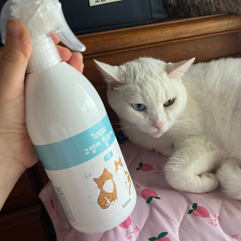 고양이 반려묘 필수아이템 아니말리 고양이탈취제 무향 탈취제 추천!