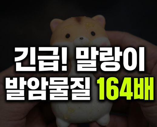 말랑이 발암물질 종류 164배 예방법 제거 방법 총정리(+리락쿠마)