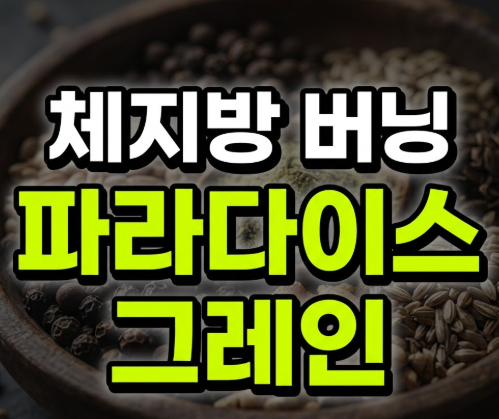 파라다이스 그레인 효능 부작용 먹는 법 및 가격 총정리(+버닝컷 효과)