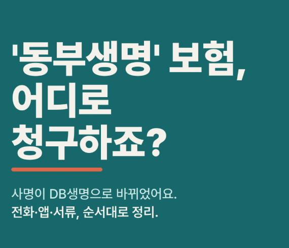 동부생명 고객센터 전화번호 보험금청구 신청 이렇게 해보세요