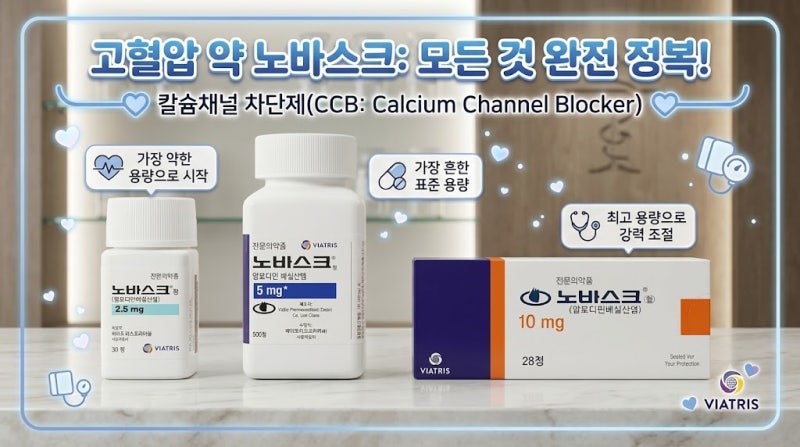 혈압약 노바스크정 5mg 효과와 주의사항 (암로디핀 베실산염)