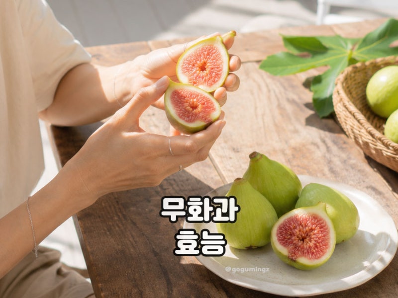 무화과효능 칼로리, 청무화과 말린무화과 효능까지