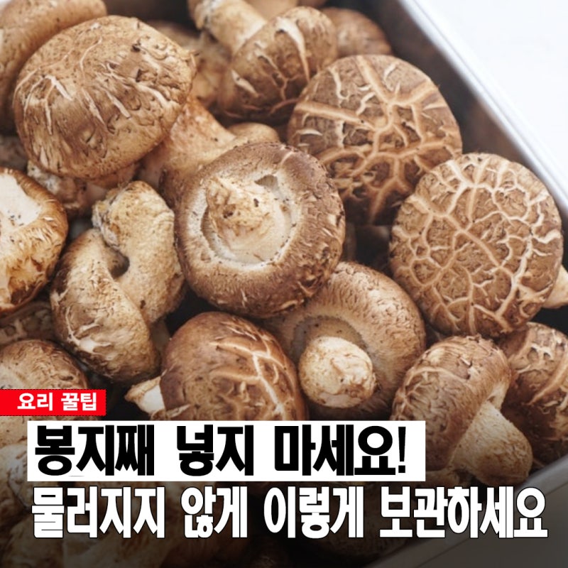 가을 표고버섯 봉지째 넣지 마세요! 물러지지 않고 오래가는 보관법