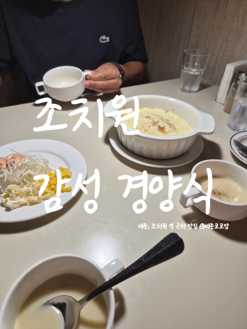 세종 조치원 아이와 가볼만한곳 감성 경양식식당 이바돔 추천 맛집 감성양식 돈가스 스파게....