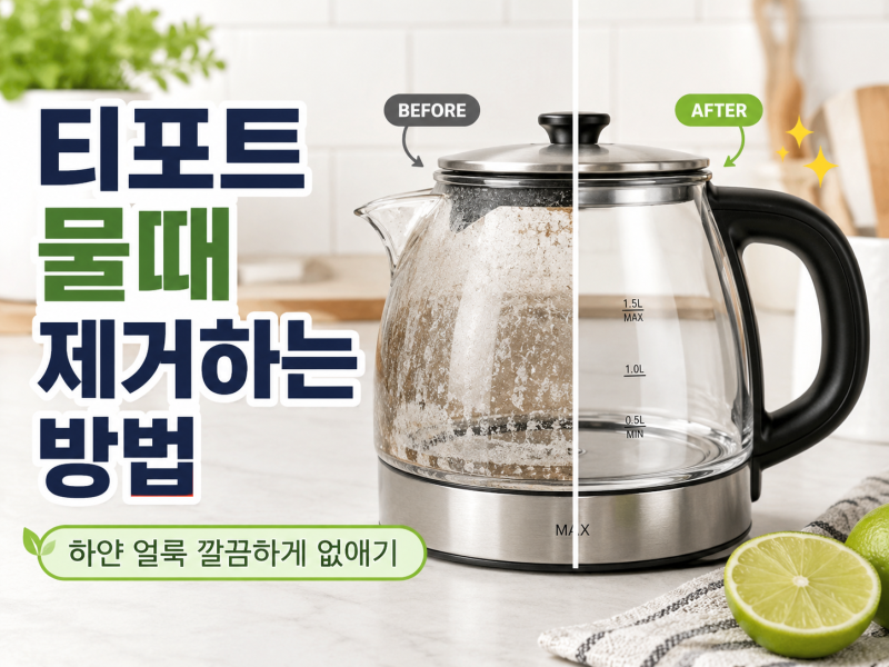 티포트 물때 제거하는 방법