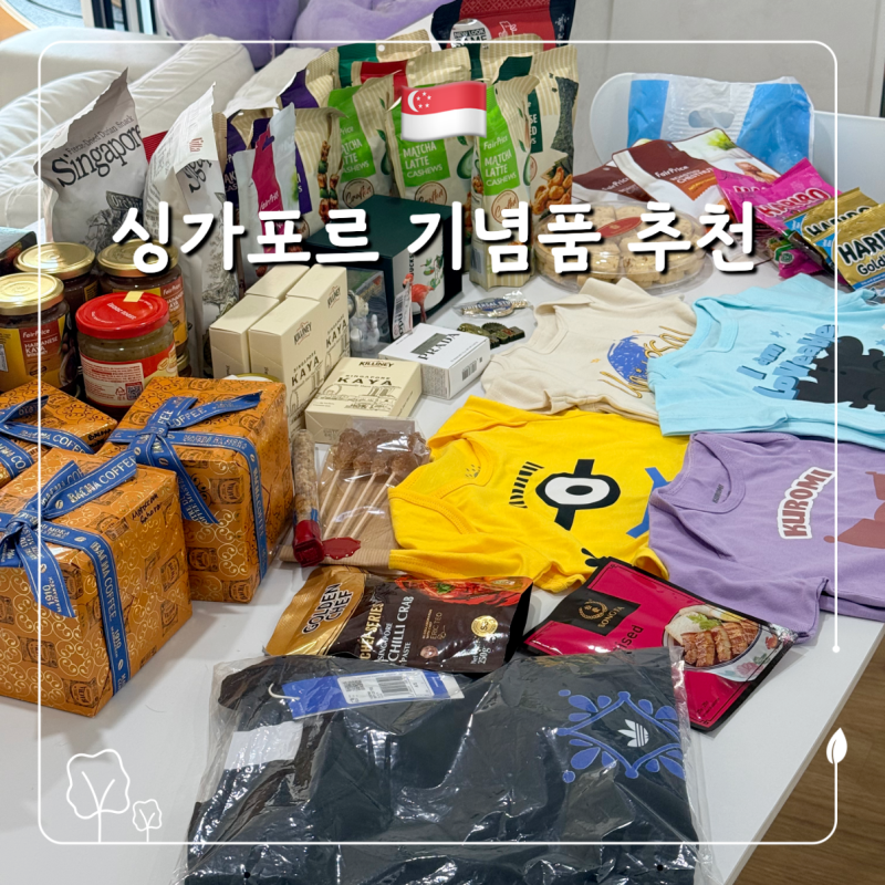 싱가포르 여행 시 추천하는 기념품 쇼핑 리스트 총정리 ㅣ 페어 프라이스 & 면세점 & 스타벅....