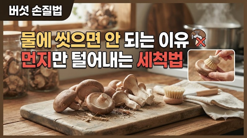 버섯 손질법, 물에 씻으면 안 되는 이유, 먼지만 털어내는 세척법
