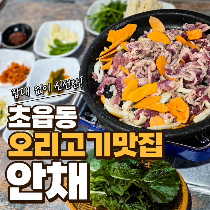 부산 초읍동맛집 안채, 오리고기 맛집 찾았어요