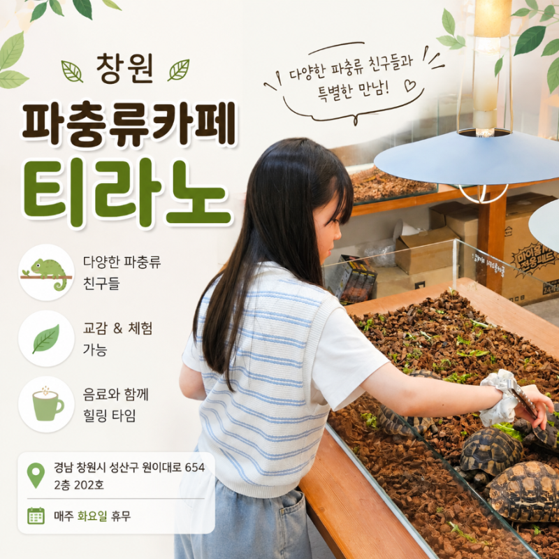 창원 파충류카페 티라노, 도마뱀 보러 갔다가 거북이 밥 실컷 준 후기