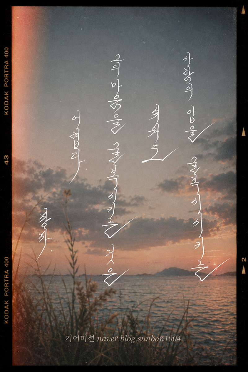 중국 전국시대 장자 명언《 오늘의 아침 인생 명언 캘리그래피 손글씨 연습 》