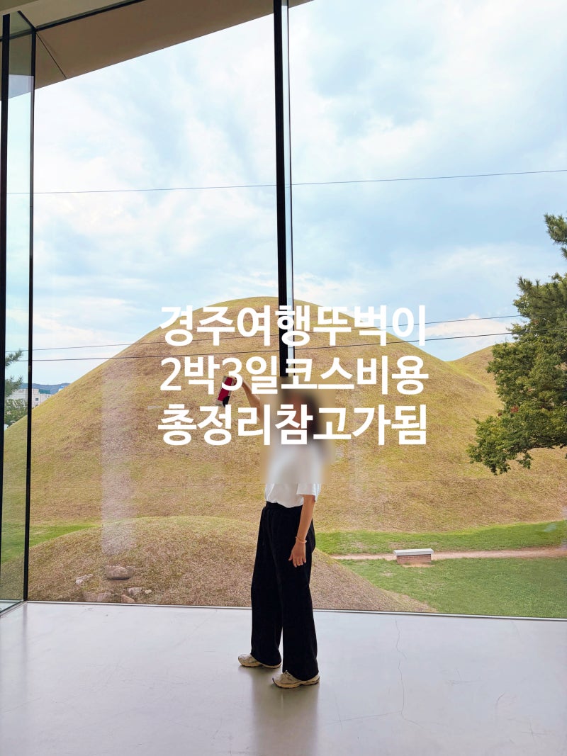 [경주]26년 8월 2박3일 한여름 경주 뚜벅이 여행코스와 비용정리. 밤에는 동궁과월지, 낮에는 ....