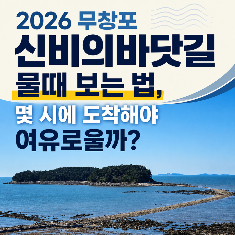 2026 무창포 신비의바닷길 물때 보는 법, 몇 시에 도착해야 여유로울까?